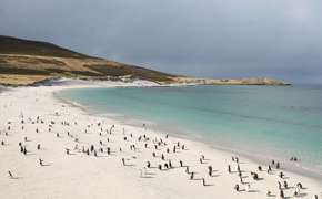 Carcass Island 2